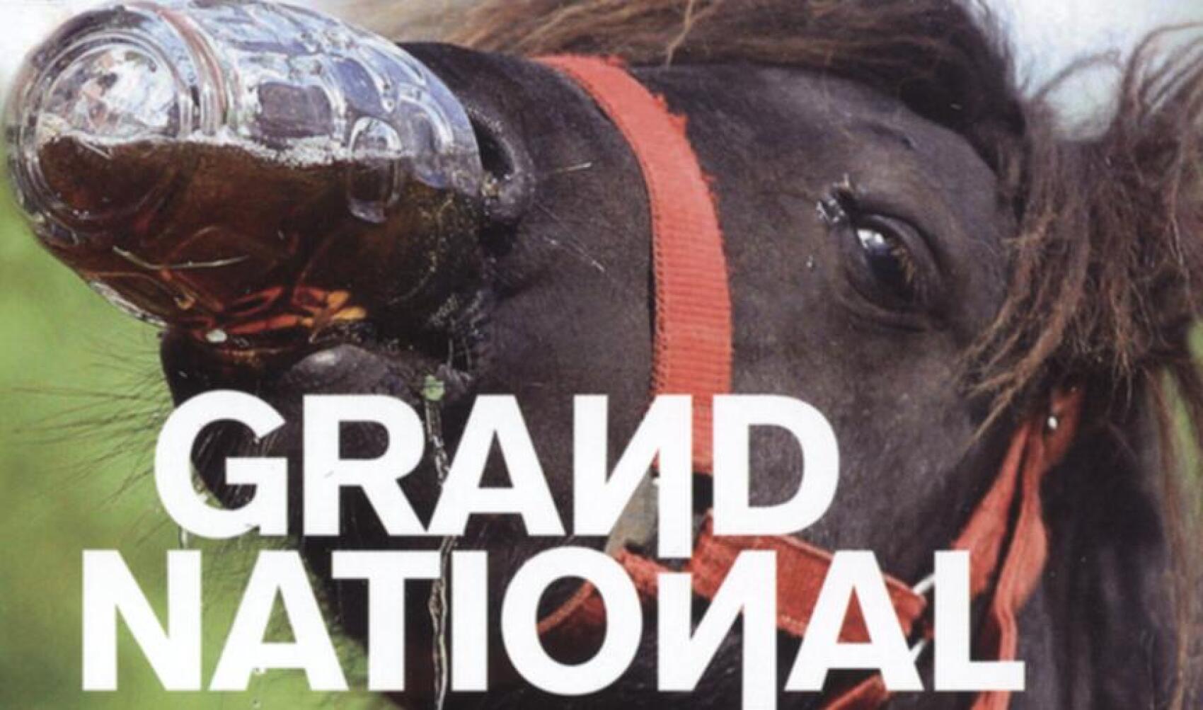 Le Spleen Hippique de Grand National sur Nova