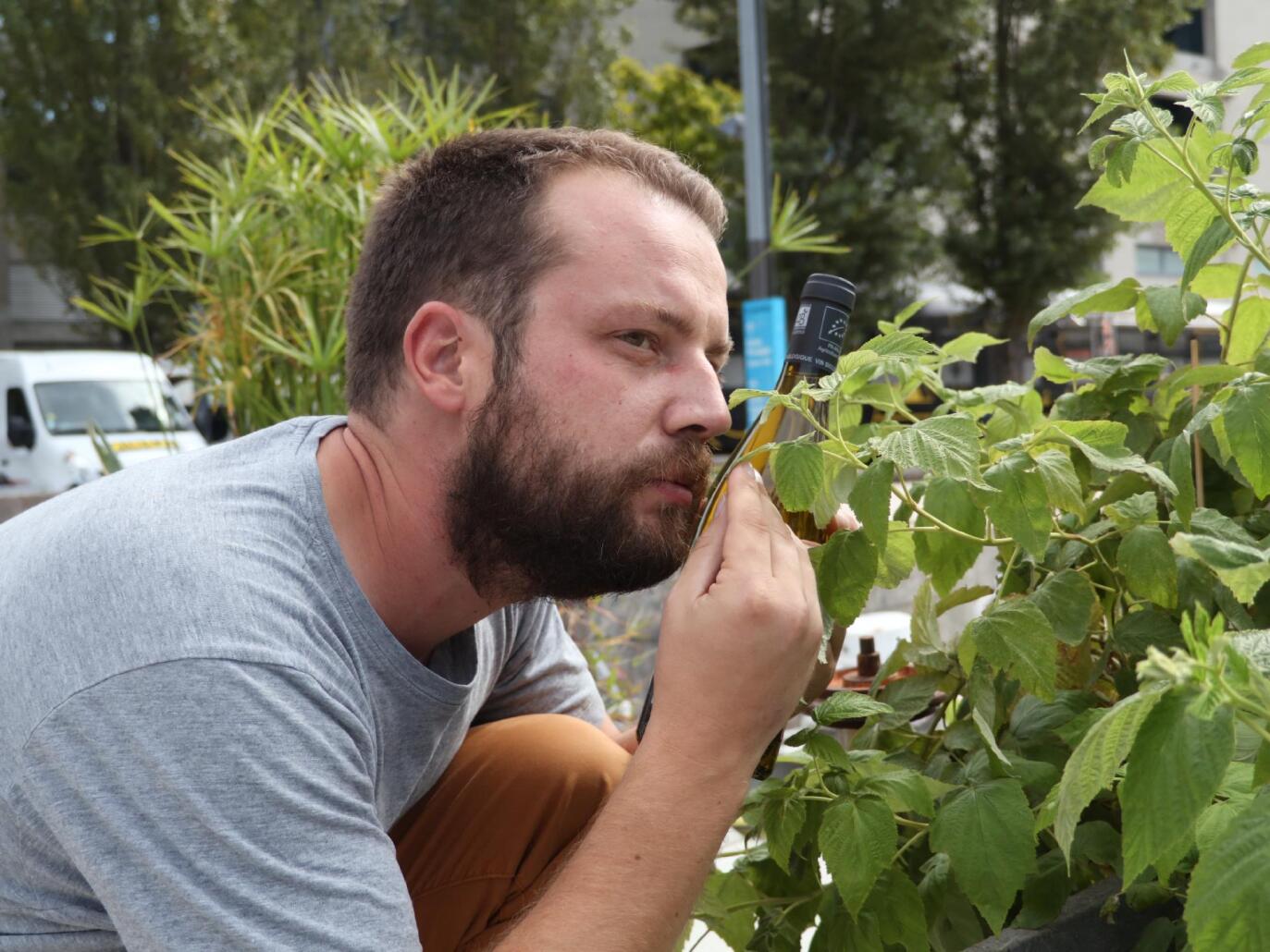 [Chronique] La chronique à Monique : les vendanges 2.0