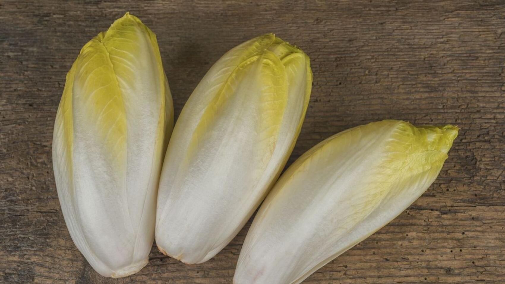 Wikipédia : l’embrouille de l’endive