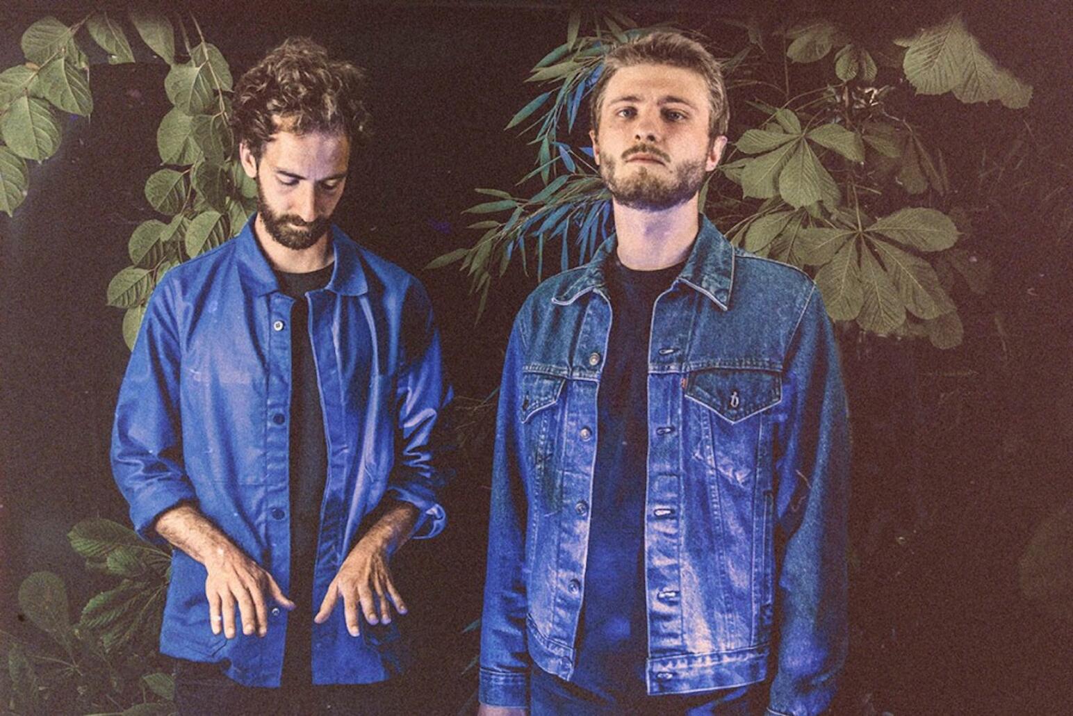 Labotanique, le duo nantais qui fait chanter le monde végétal