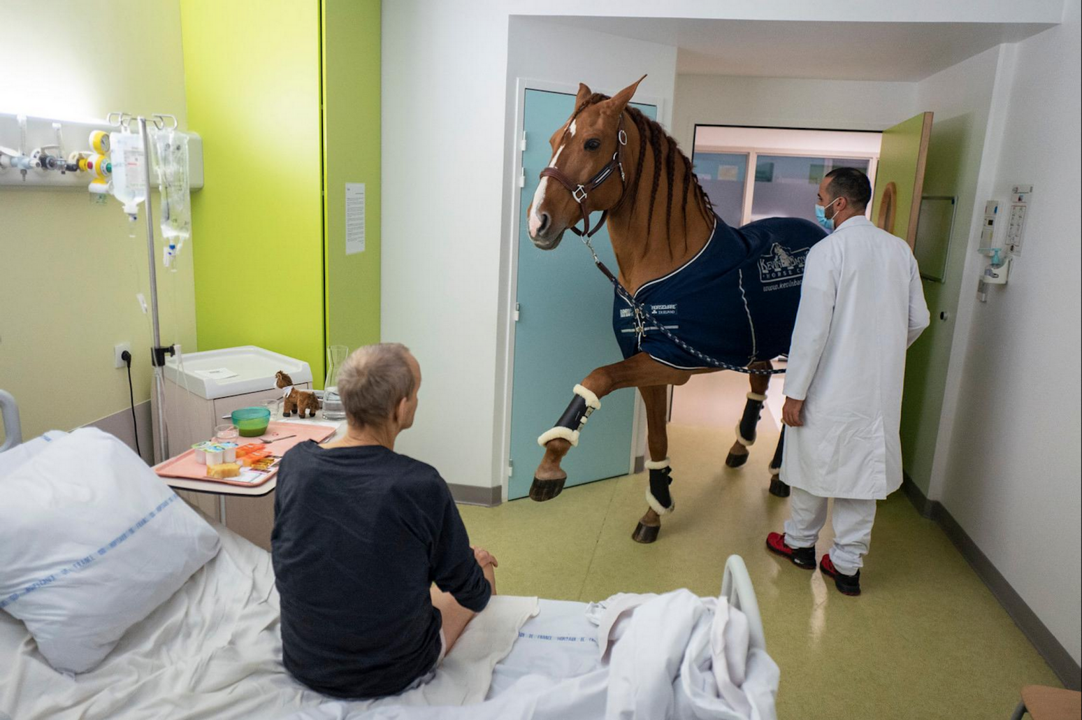 “Peyo a beaucoup d’empathie et détecte les malades du cancer”