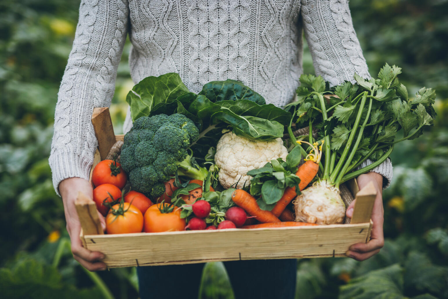 Dans le Finistère, une coopérative lance les paniers de légumes à 5€