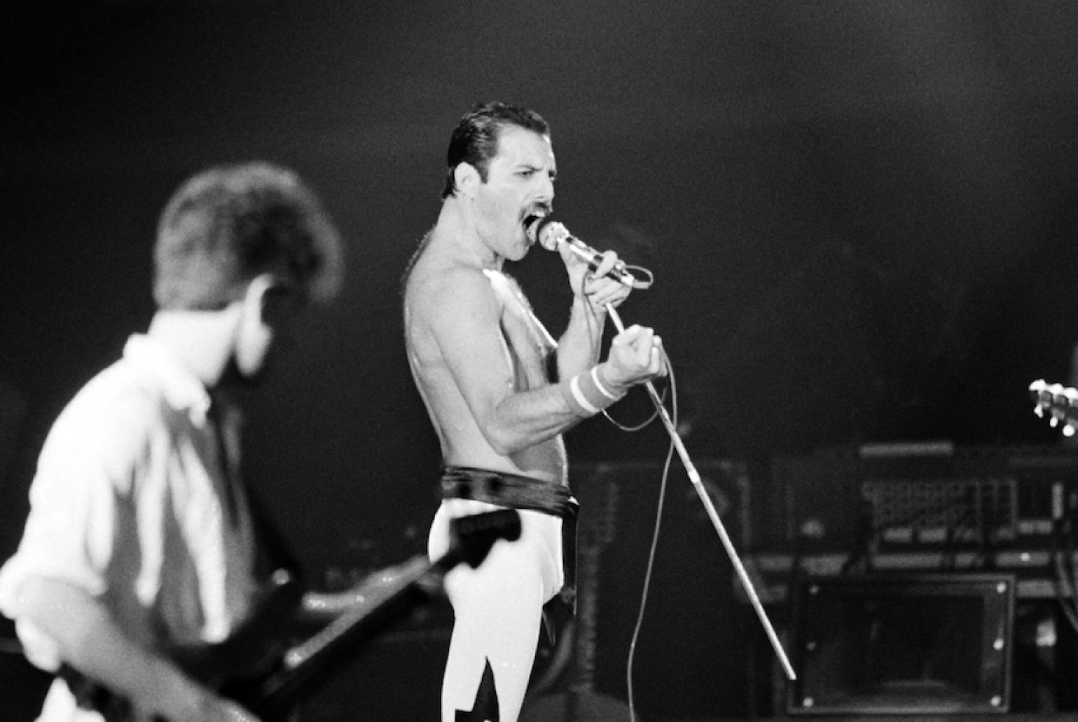 Pourquoi Freddie Mercury ruminait, alors qu’il n’était pas un lama ?