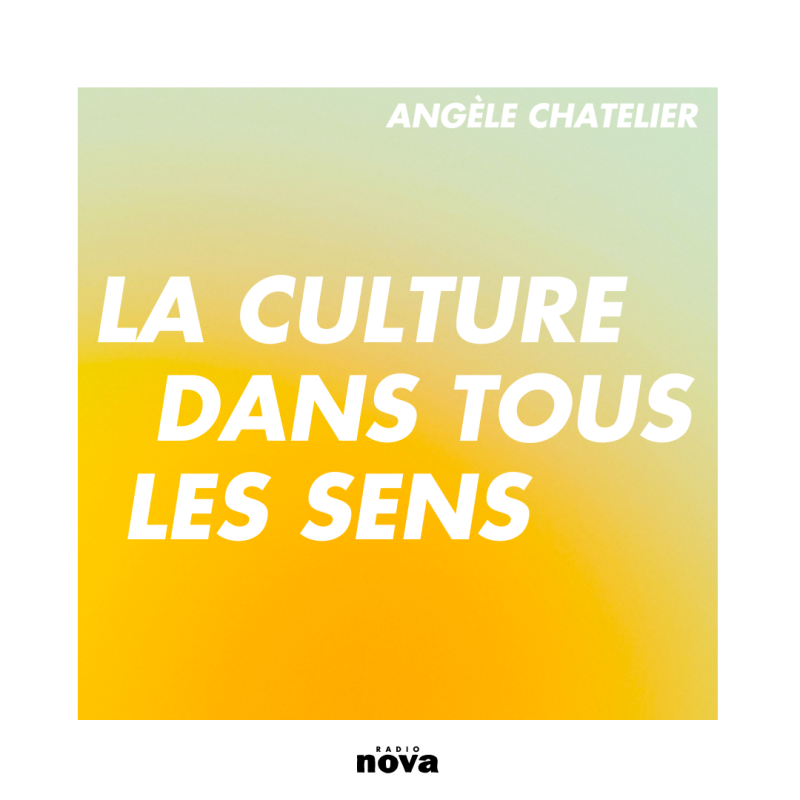 La culture dans tous les sens