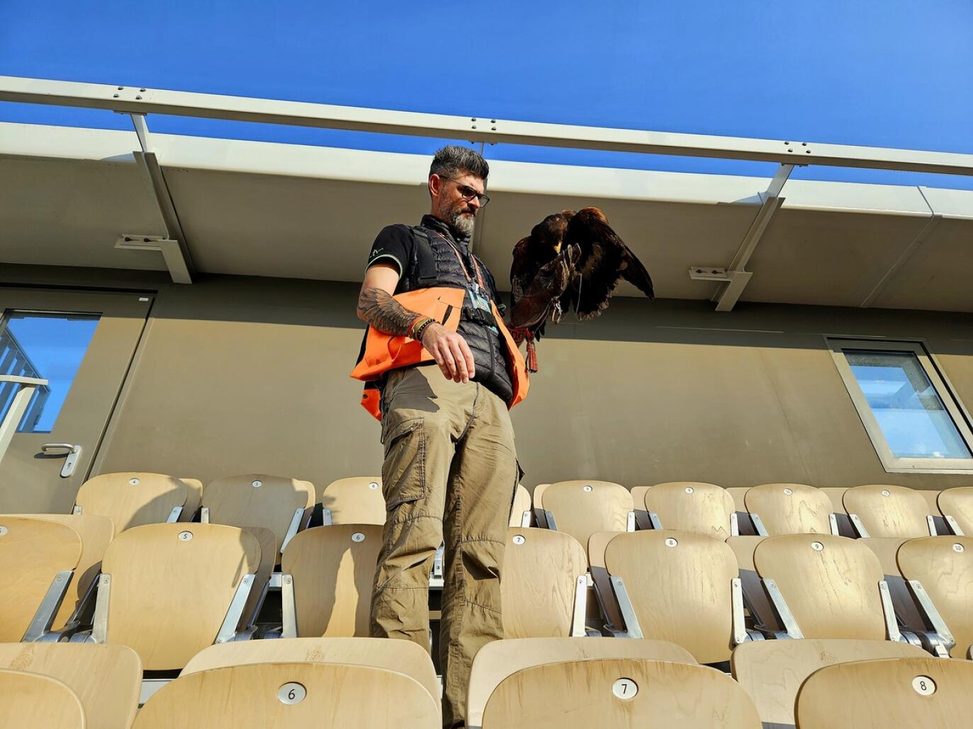 Une matinée avec le fauconnier de Roland-Garros