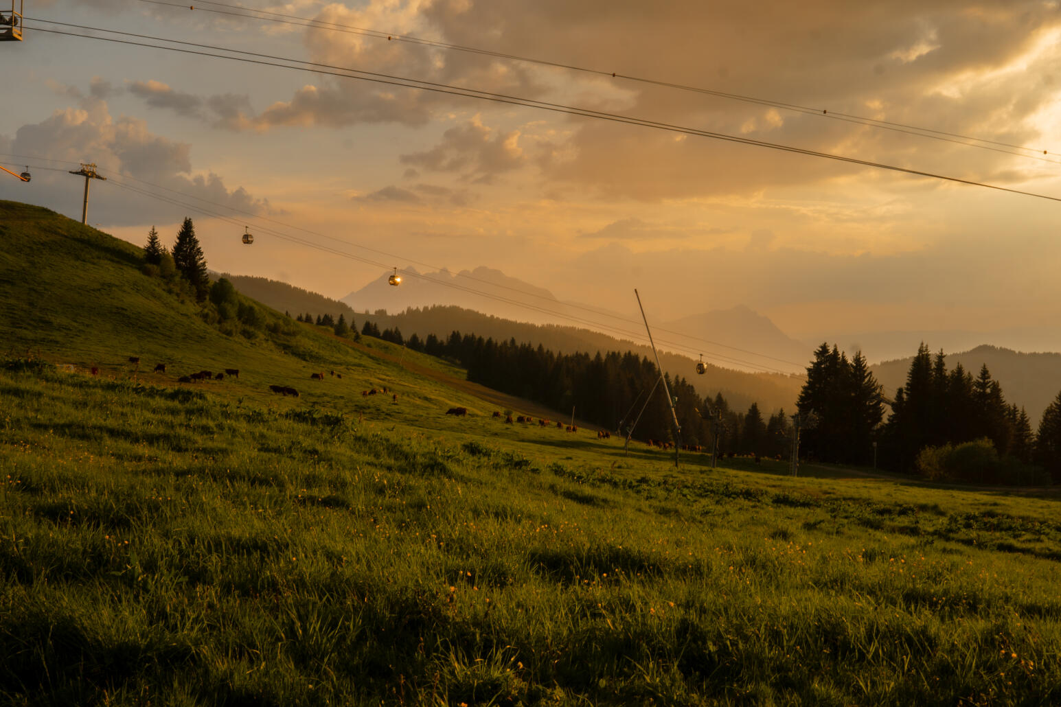 À 1600 mètres d’altitude, bienvenue au Summer Mountain Festival !