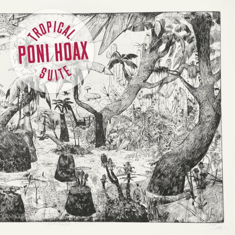 PONI HOAX