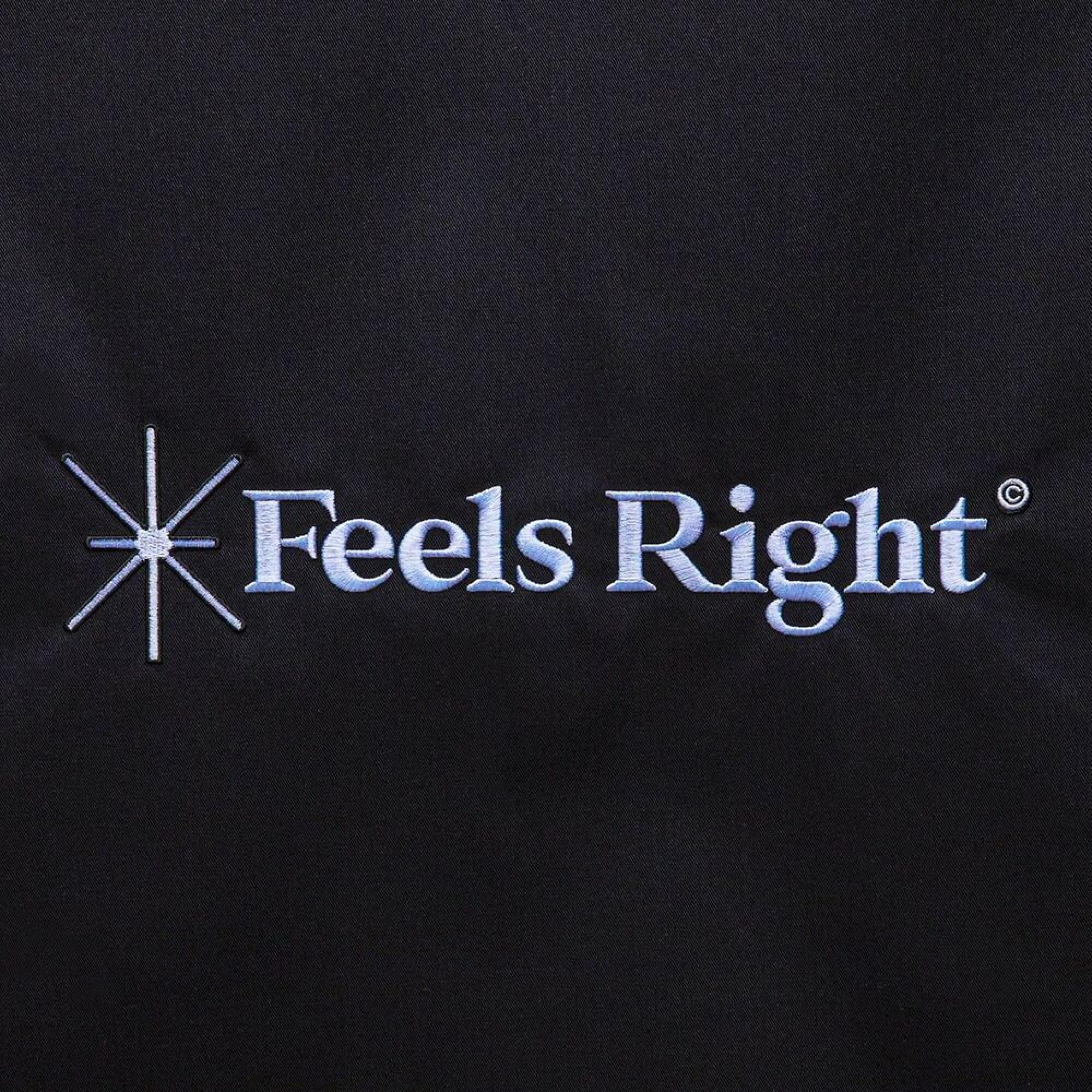 Darius – Feels Right