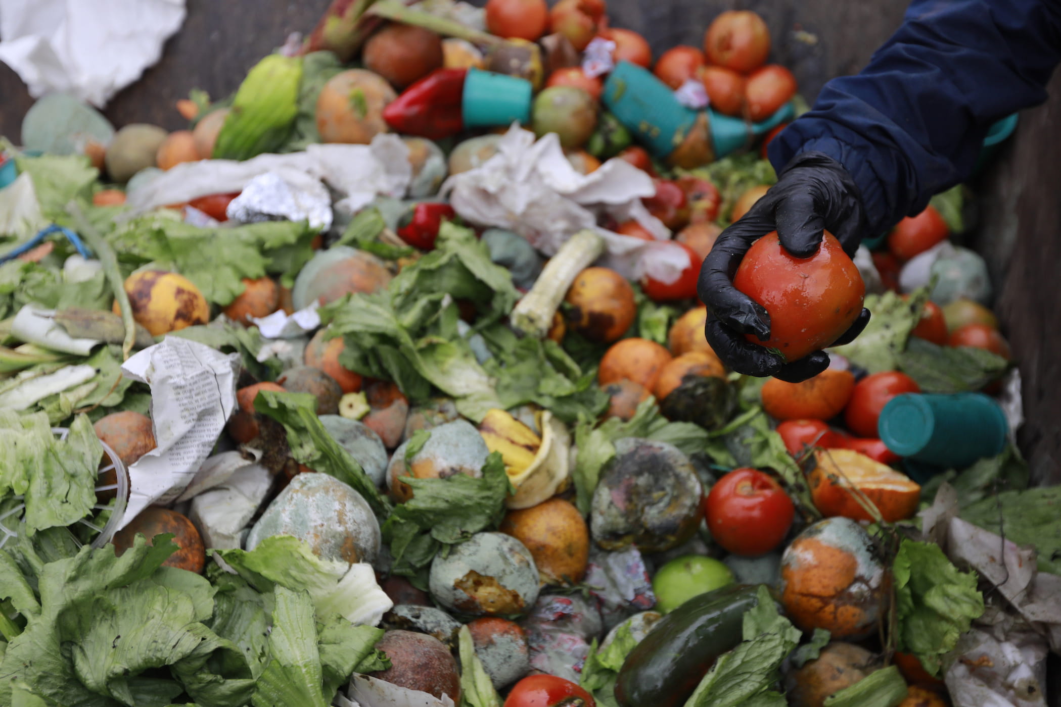 de-l-lectricit-avec-des-l-gumes-et-des-fruits-radio-nova